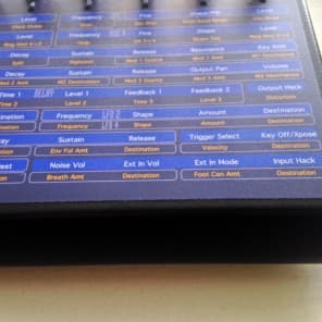 Dave Smith Instruments Desktop Evolver with replacement knobs image 8