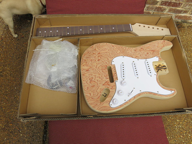 Cozart guitar kits sales