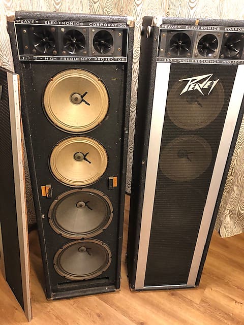 Peavey 1210t hot sale column speakers