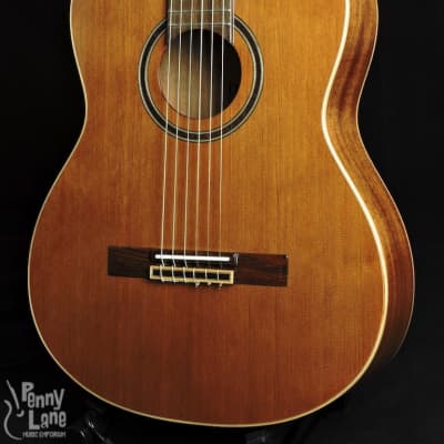 Teton STC105NT Solid Cedar Top Acoustic Classical Guitar image 3