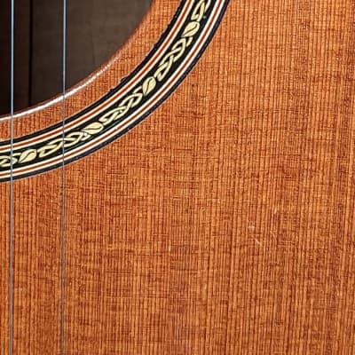 Bianchin Guitars 00 12-Fret Acoustic - Sinker Redwood/Walnut image 10