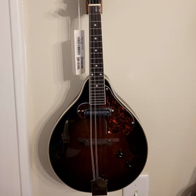 エピフォンUSA マンドリン　希少 M M２０ Epiphone MM-20 Mandolin, Black | Reverb