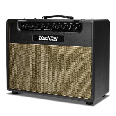 Fuchs OverDrive Supreme (ODS) 50 Combo | Reverb