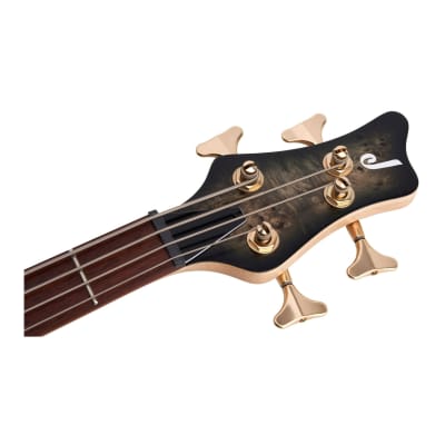 Jackson Pro Series Spectra Bass SBP IV 4-String Guitar with Caramelized Jatoba Fingerboard (Right-Handed, Transparent Black Burst) image 3