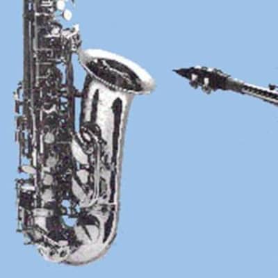 Anche Saxophone Alto BARI