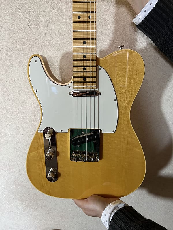 【値下げ】Warmoth カスタムテレキャスター (lefthanded） Warmoth Left Handed Telecaster New - Nitro Satin On The Neck