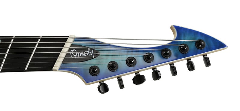Ormsby Hype GTR 7 Aqua 7 String 2021 | Reverb