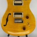 Paul Reed Smith PRS SE Custom 22 Semi Hollow Body Electric Guitar Ser# D07220