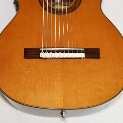 Bartolex SLC10CEL Classical 10-String Harp Guitar, w/Pickup, Cutaway, Sound Port, w/Softshell Case image 12