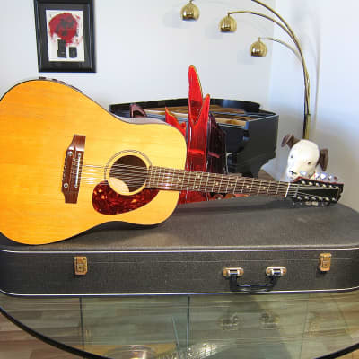Vintage 1965 Hoyer 12 String Acoustic Guitar Near Mint Vintage 12 String with Near Mint Vox Case image 7