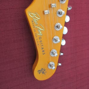 Blue Frog Made in the Usa  Single Cutaway Custom Nitro guitar 2015 Sea Foam Green image 22