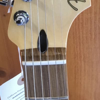 Fender Player Stratocaster PF Silver image 2
