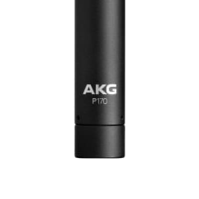P170 AKG Condenser Microphone image 1