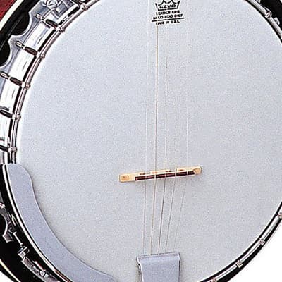 Oscar Schmidt OB5 5-String Banjo, Remo Head, Mahogany Resonator, Gloss Finish image 3