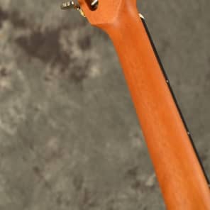 Ibanez AVD1 - Solid Sitka Spruce Top - Mahogany Back & Sides - Bone Nut/Saddle - Brand New! image 6
