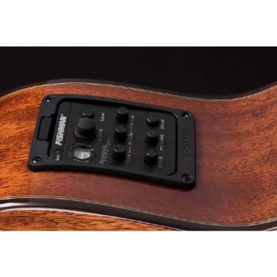 Washburn Woodline Solid Wood Acoustic Electric Guitar image 5