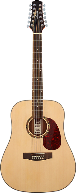 Ashton 12 string guitar cheap