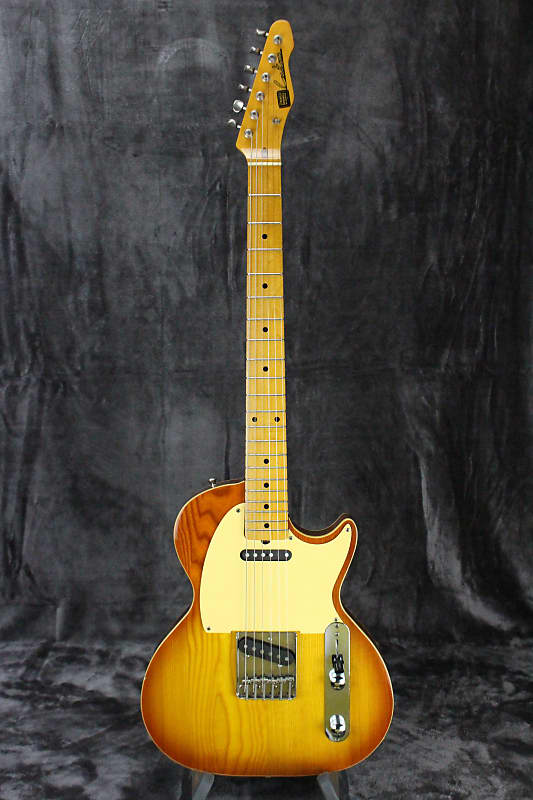 1980's Strings and Things St. Blues Bluesmaster Custom Reverb