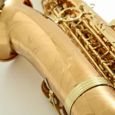 Yanagisawa A-Wo20 Alto Saxophone image 9
