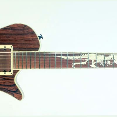Benavente 2K Custom  T-Rex Guitar image 1