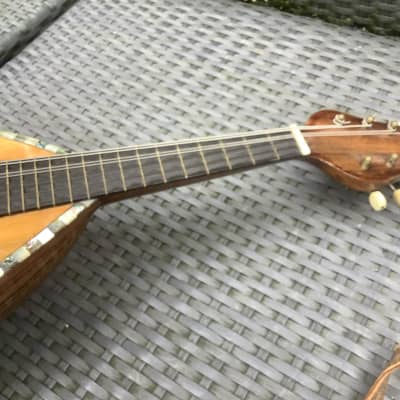 Mandolin mandoline vintage antique / very pretty face inlay and mother of pearl image 12