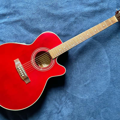 TAKAMINE(タカミネ） Acoustic guitar 一覧 | 三木楽器公式通販
