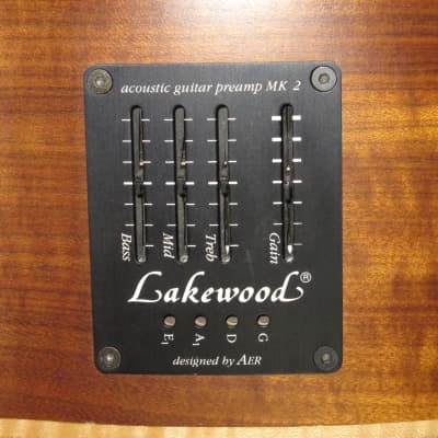 Sale: Rare Vintage Warwick Alien 4 electro-acoustic bass handcrafted by Lakewood in Germany image 16
