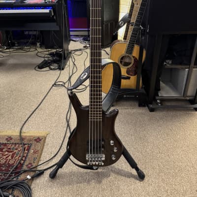 outlet】Warwick / Team Build PS Thumb Bass BO 5 TS NAT B