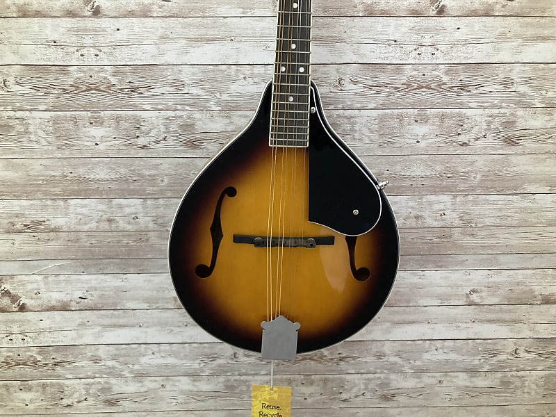 Used Washburn M1SA MANDOLIN Reverb