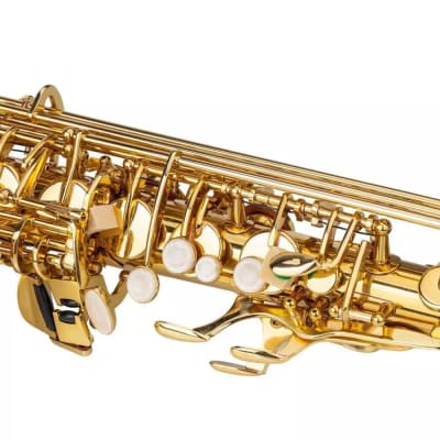 New Student Paint Gold Alto Eb Sax Saxophone W/ Case Accessories Carrying Bag image 5