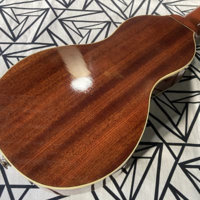 Segovia / TF-10 GN ” Tarvel Guitar “ image 12