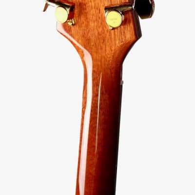 Rick Turner Renaissance RS6 Curly Redwood / Mahogany #5903 image 11