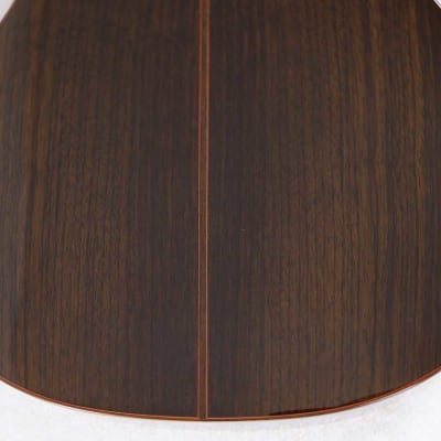 Milagro MPS7 Spruce/Rosewood 7-String Classical Harp Guitar w/All-Solid Woods, Custom Case!! image 13