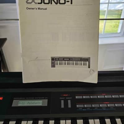 Roland Alpha Juno-1 49-Key Programmable Polyphonic Synthesizer 1985 - 1988 - Black image 3