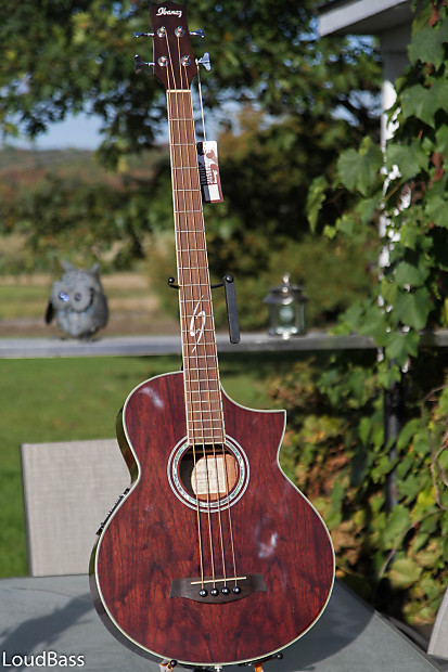 Ibanez ewb20 top