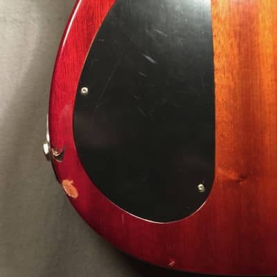 Tony Sheridan's Personal Guitar image 14