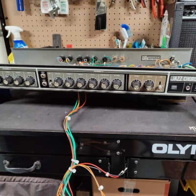 Roland JC 60 R&P SUPER RARE | Reverb