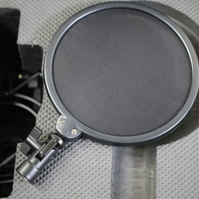 Antelope Audio Edge Duo Large-Diaphragm Modeling Condenser Microphone Open Box!! image 7