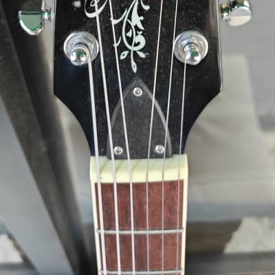 Epiphone Stagebird Banjo image 3