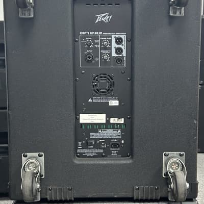 Peavey dm 118 hot sale sub