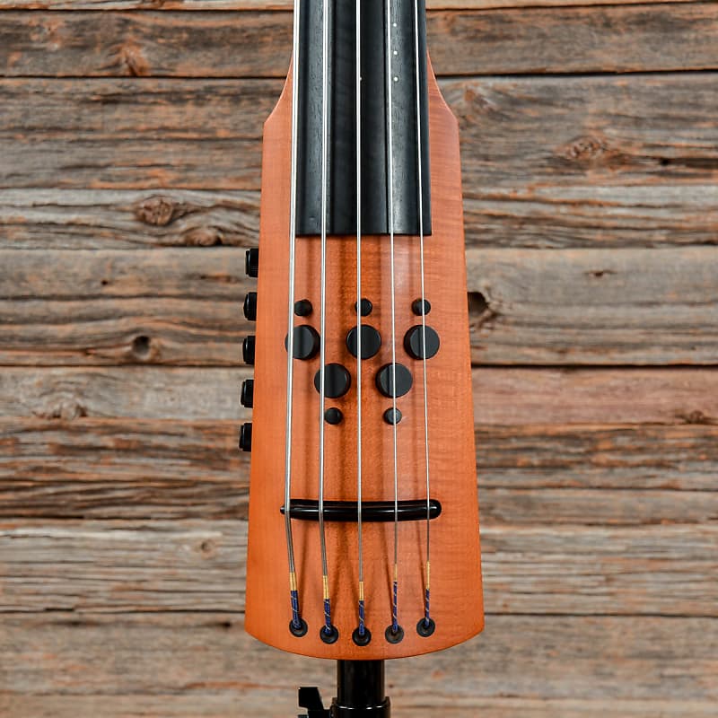 Ns design store 5 string bass