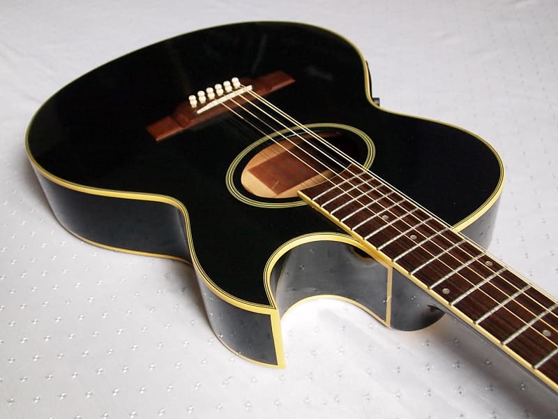 Washburn EA20MB-12 12弦ギター