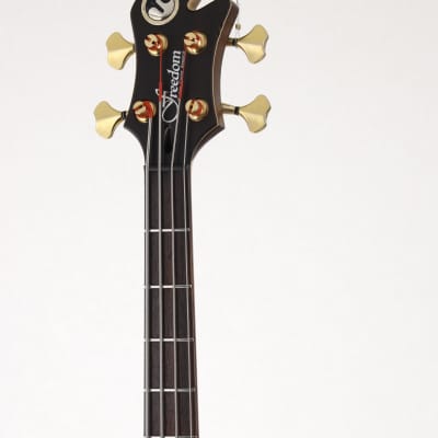 変幻自在】Freedom Custom Guitar Researdh Dulake 4st -KMK