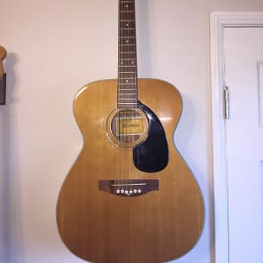 Crestwood acoustic guitar store