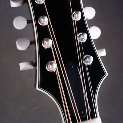Bourgeois M5-O-BT Black Top Aged F-style Octave mandolin Brand New image 13