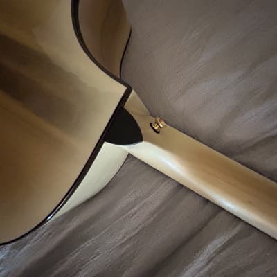 Breedlove Limited Edition Oregon Concert CE Acoustic-electric Guitar - White Sand Myrtlewood (2021) image 14