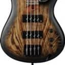 Ibanez SR600E Bass Antique Brown Stained Burst
