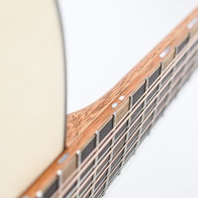 Furch Red Pure D-LR 12 String image 12