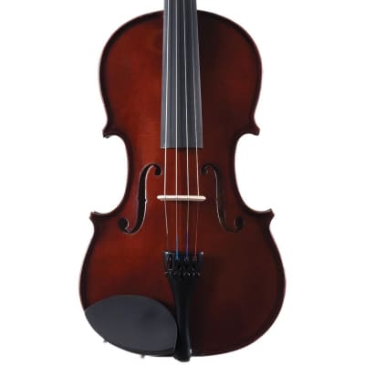 Palatino VN-450 Allegro Hand-Carved Violin Outfit with Case and Bow, 1/10 Size, Golden Brown image 4