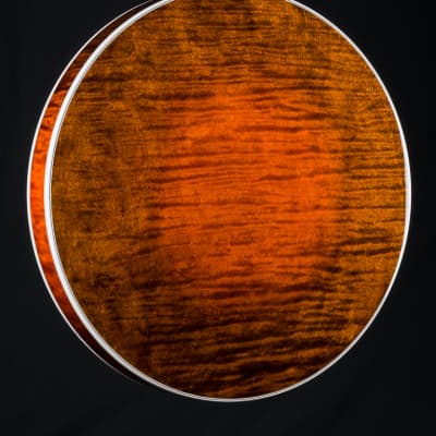 Deering Golden Era Maple 5-String Banjo NEW image 16